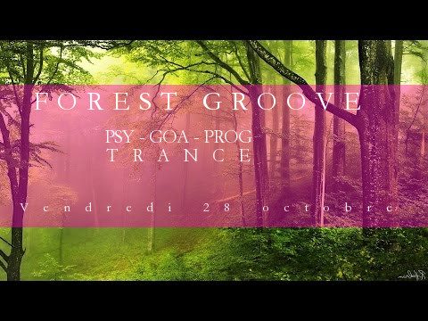 Forest Groove