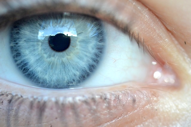 Clin d’œil aux pathologies oculaires