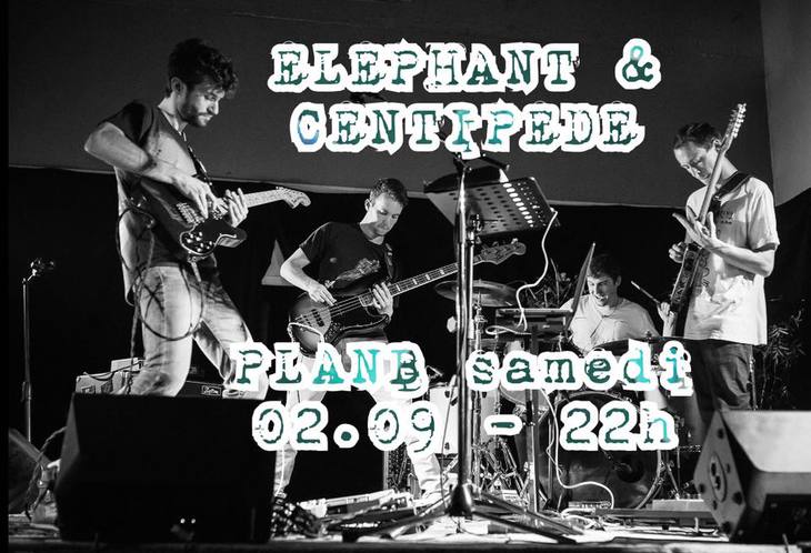 Live au Plan B - Elephant & Centipede