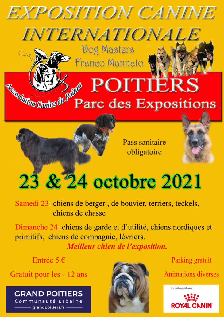 Exposition canine internationale 2021