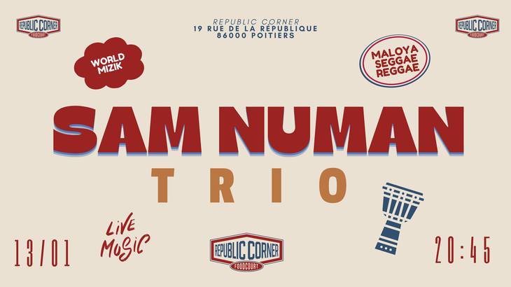 Sam Numan Trio en concert