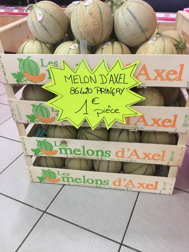 Melon de la région