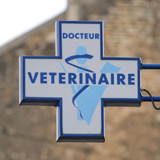 Clinique Vétérinaire Colchen